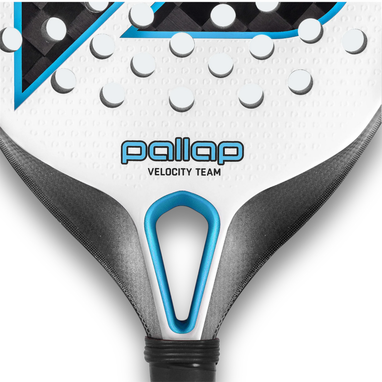 Pallap Velocity Team